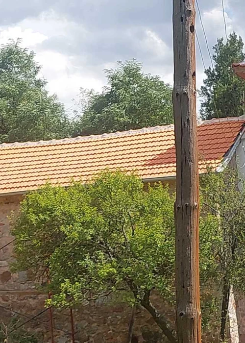 1707983466925